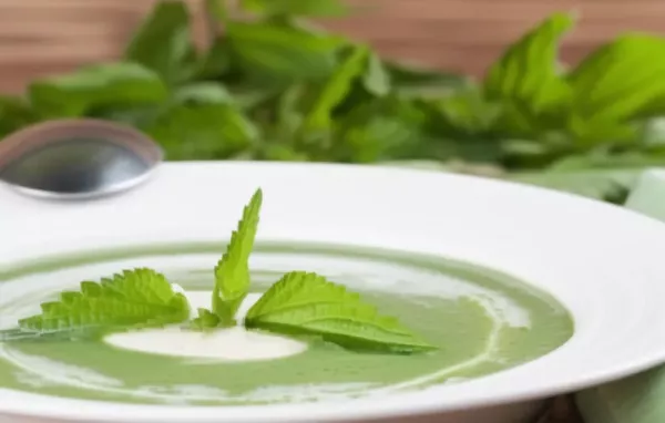 Ein gesundes und leckeres Rezept für Brennnesselsuppe