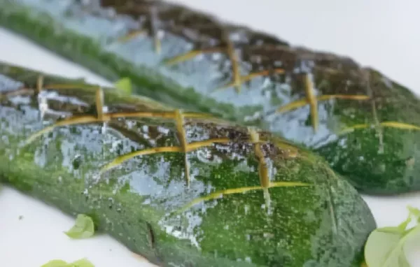 Gegrillte Zucchini mit einer köstlichen Parmesan-Kräuter-Haube