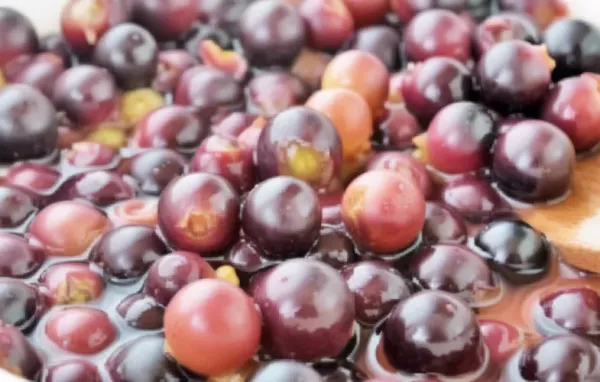 Portwein-Trauben - Köstliche kleine Nascherei für zwischendurch