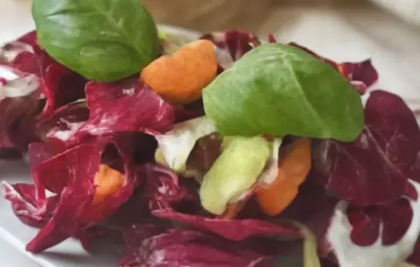 Radicchio Salat