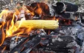 Knusprig gebratene Maiskolben mit würziger Marinade