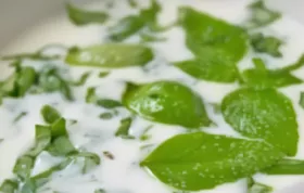 Köstliche Basilikum-Suppe mit frischen Zutaten