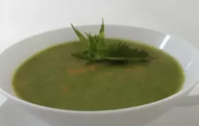 Leckeres Rezept für eine cremige Brennnesselsuppe