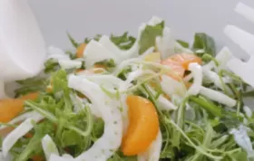 Rucola-Fenchel-Salat